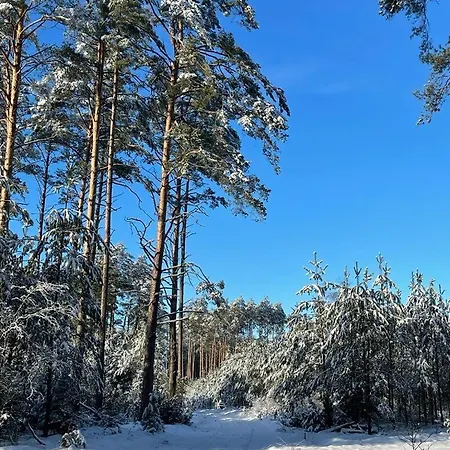 Utasiowka Mazury Villa Pasym